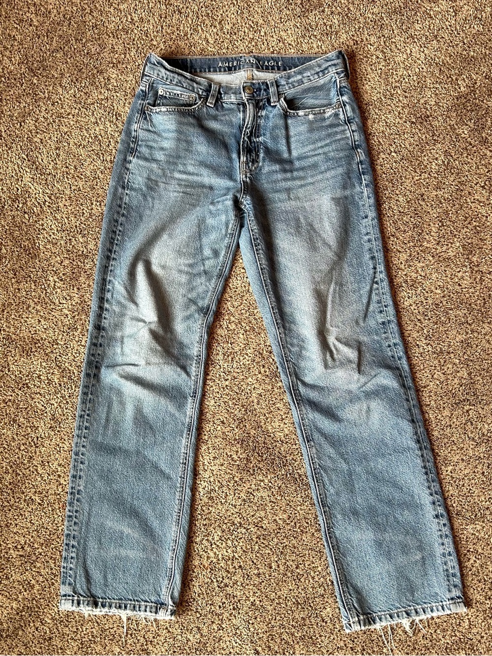 American Eagle Low Rise Baggy Jeans